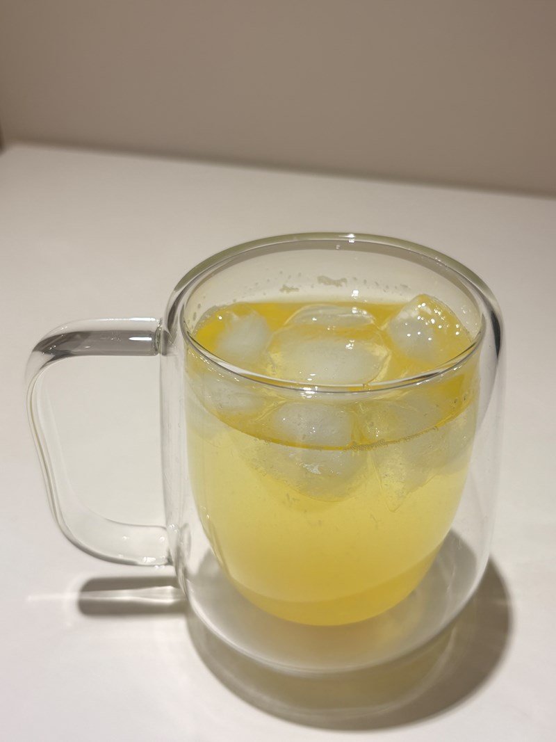 試用